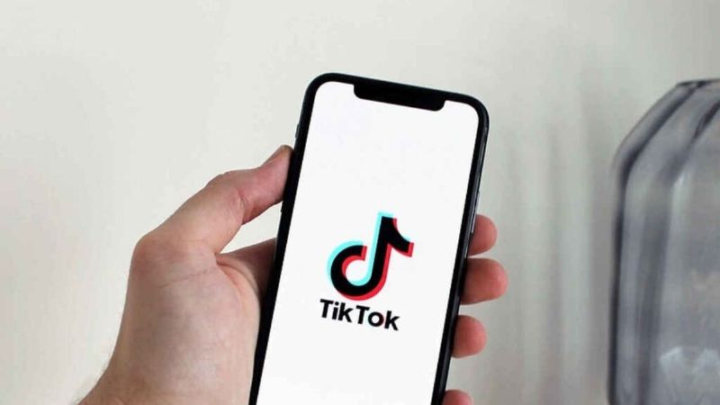 Los videos virales más destacados de TikTok del 2020