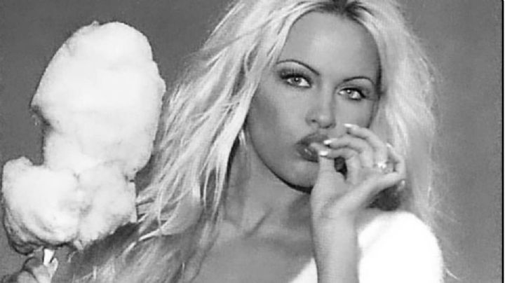 Desde la cama y en ropa interior: la foto de Pamela Anderson que enloqueció a sus fans