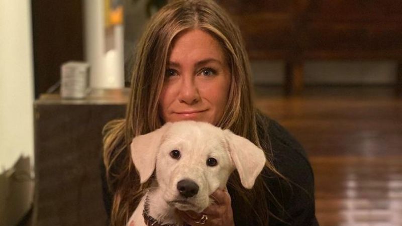 Alucinante: así luce por dentro la mansión restaurada de Jennifer Aniston