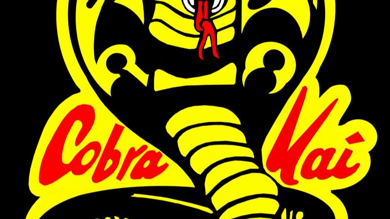 Fecha de lanzamiento de la temporada 4 de Cobra Kai, nuevo reparto y detalles de la trama