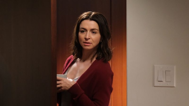 Grey's Anatomy: la nueva relación de Amelia es su verdadero final feliz