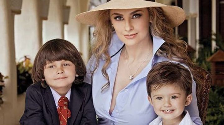 Gran equivocación: Aracely Arámbula mostró por error el rostro de uno de sus hijos y explotaron las redes