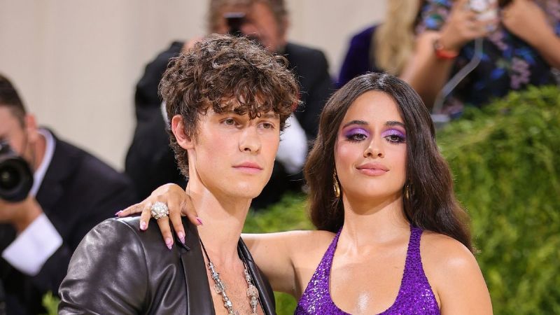 Shawn Mendes está 'pasando por un momento difícil en las redes sociales' luego de la separación de Camila Cabello