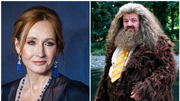 Cuando JK Rowling reveló la impactante VERDAD sobre Hagrid