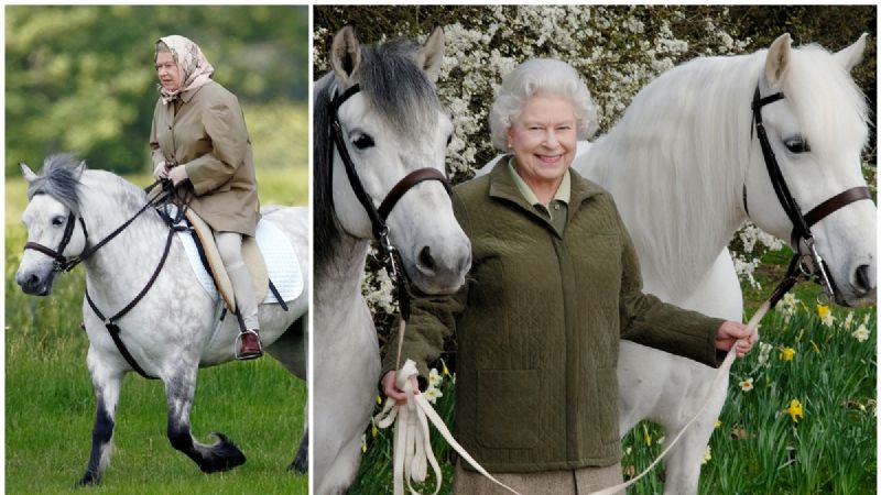 ¿El rey Carlos III quiere deshacerse de los amados caballos de la reina Isabel?