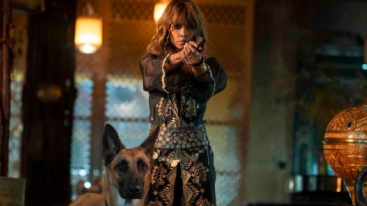 Halle Berry insinúa una película derivada de John Wick con su personaje Sofia