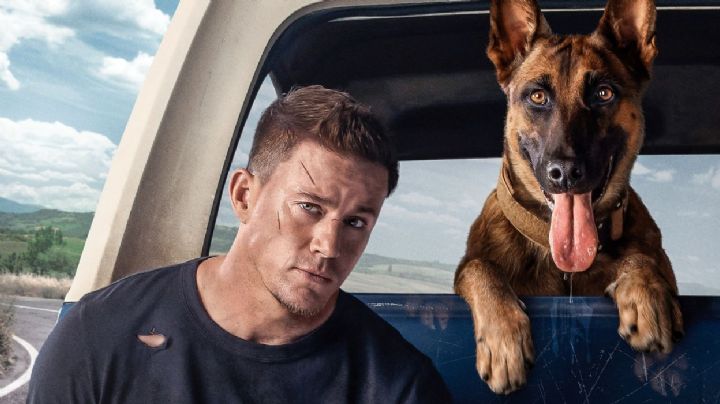 Channing Tatum no quería matar perros en su debut como director 'Dog'