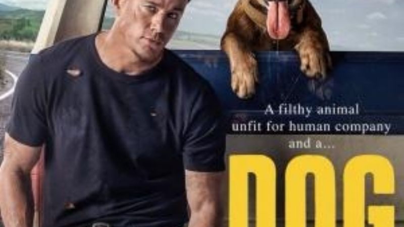 Channing Tatum no quería matar perros en su debut como director 'Dog'