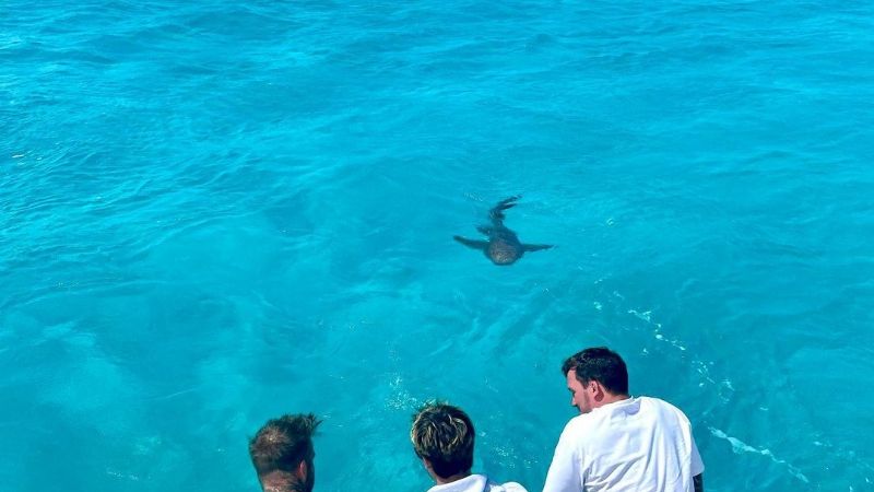 David Beckham sube la temperatura, mientras nada sin camiseta con tiburones en Miami