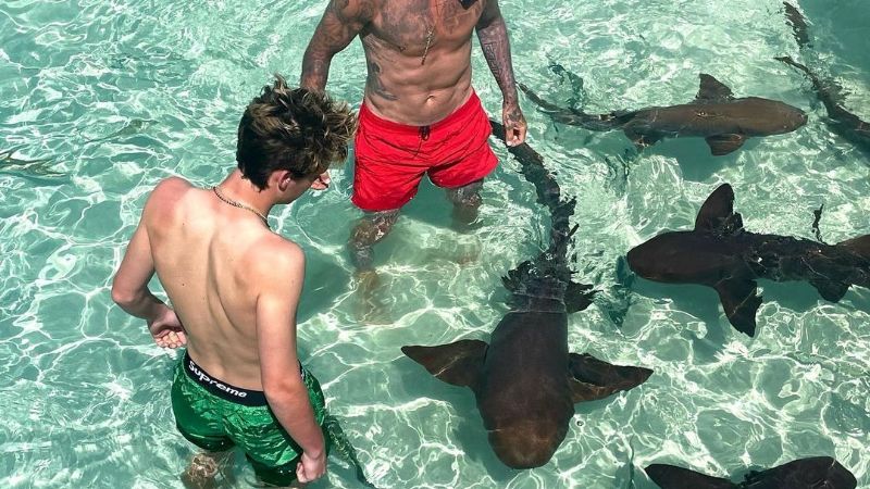 David Beckham sube la temperatura, mientras nada sin camiseta con tiburones en Miami