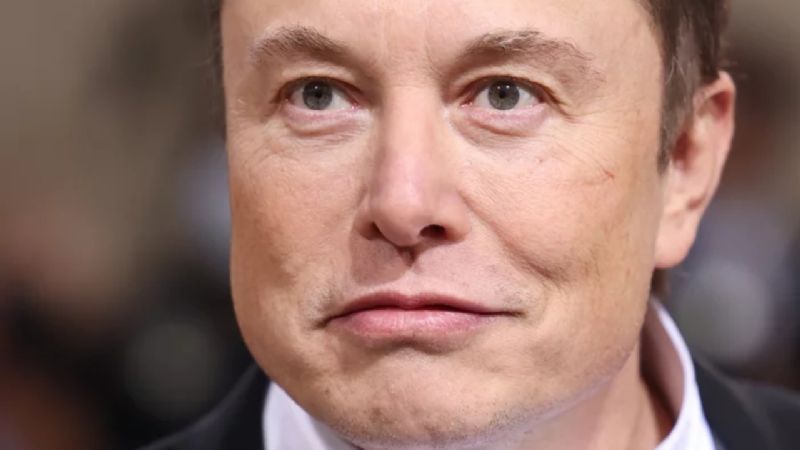 Por qué Elon Musk sugiere que su vida está en peligro