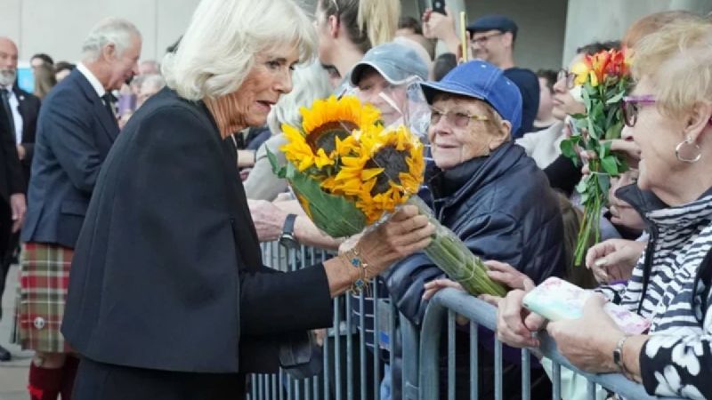 Los fanáticos de la princesa Diana están absolutamente enfurecidos con el rey Carlos