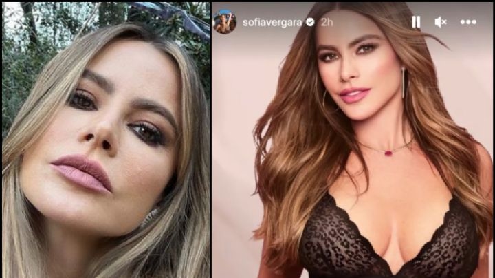 De infarto, Sofía Vergara elevó la temperatura en Instagram con una atrevida foto en lencería negra