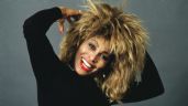 Tina Turner: quiénes son sus hijos y a qué se dedican