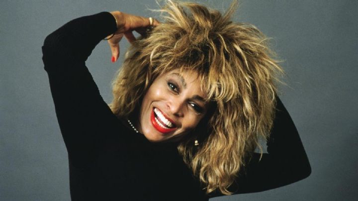 Tina Turner: quiénes son sus hijos y a qué se dedican