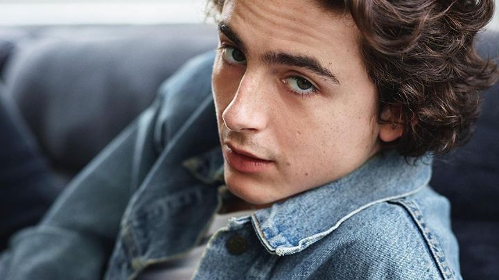 La película protagonizada por Timothée Chalamet que recién llega a Netflix y fue ganadora de un Oscar